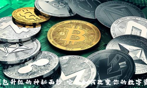  
揭开TP钱包升级的神秘面纱：它将如何改变你的数字资产管理？