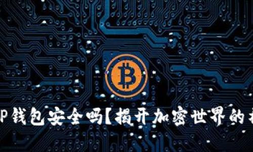 示例: TP钱包安全吗?揭开加密世界的神秘面纱
