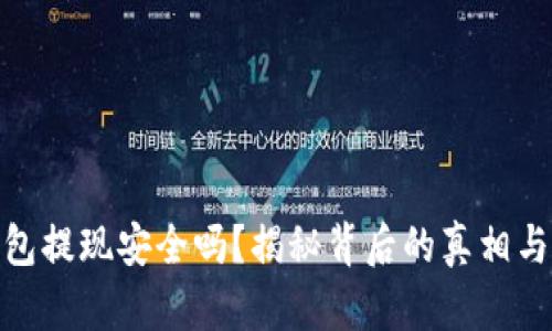 TP钱包提现安全吗？揭秘背后的真相与风险