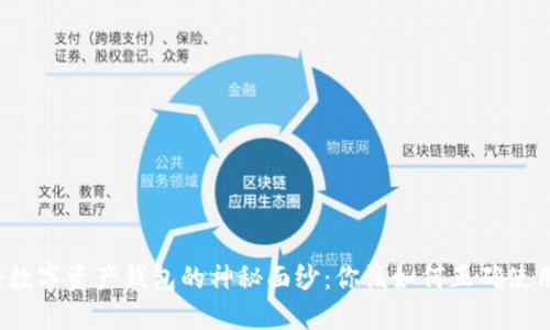 揭秘数字资产钱包的神秘面纱:你该如何正确使用它?