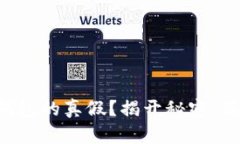 如何判断TP钱包的真假？揭