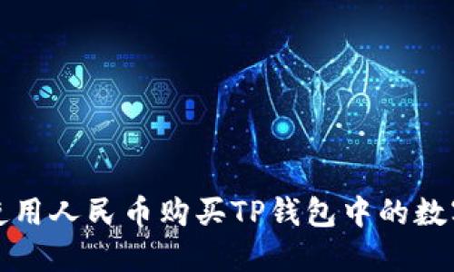 如何使用人民币购买TP钱包中的数字资产