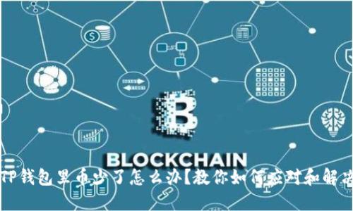 TP钱包里币少了怎么办?教你如何应对和解决
