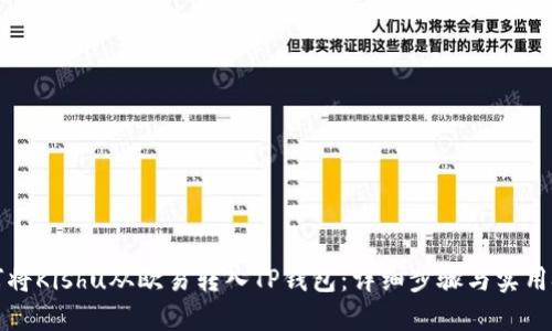 如何将Kishu从欧易转入TP钱包:详细步骤与实用技巧
