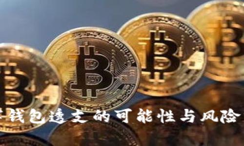 数字钱包透支的可能性与风险分析