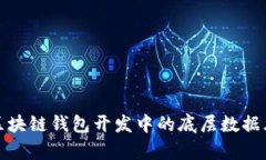 探索区块链钱包开发中的