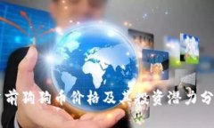 当前狗狗币价格及其投资