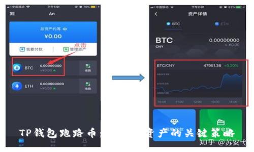 TP钱包跑路币：保护你资产的关键策略