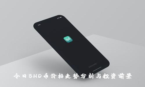 今日BHD币价格走势分析与投资前景