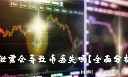 TP钱包地址泄露会导致币丢失吗?全面分析与风险提示