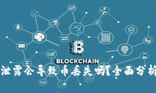 TP钱包地址泄露会导致币丢失吗?全面分析与风险提示