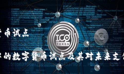 电子钱包数字货币试点

探讨电子钱包中的数字货币试点及其对未来支付的革命性影响