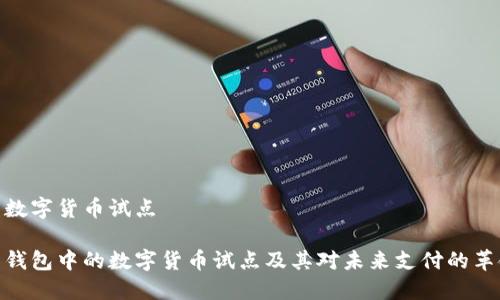 电子钱包数字货币试点

探讨电子钱包中的数字货币试点及其对未来支付的革命性影响