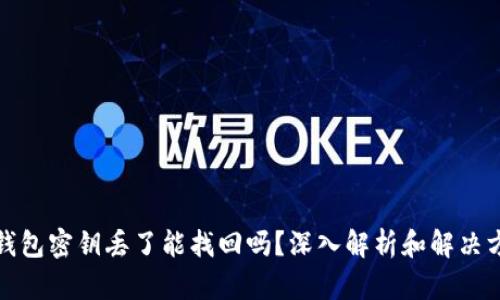 TP钱包密钥丢了能找回吗？深入解析和解决方案
