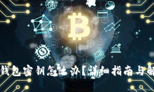 忘记TP钱包密钥怎么办？详细指南与解决方案