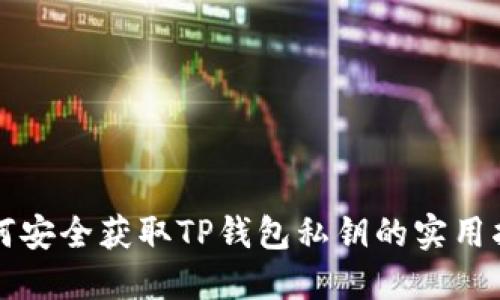 如何安全获取TP钱包私钥的实用指南