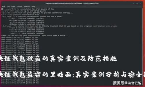 分析区块链钱包被盗的真实案例及防范措施
揭开区块链钱包盗窃的黑暗面:真实案例分析与安全防护指南