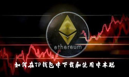 如何在TP钱包中下载和使用中本聪