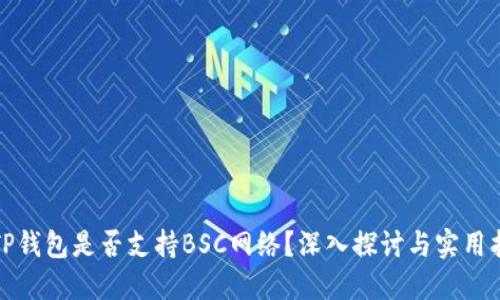 : TP钱包是否支持BSC网络？深入探讨与实用指南