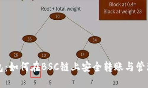 TP钱包：如何在BSC链上安全转账与管理资产