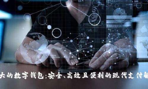 全球最大的数字钱包：安全、高效且便利的现代支付解决方案
