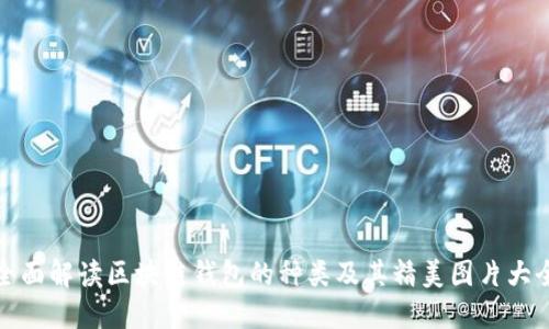 全面解读区块链钱包的种类及其精美图片大全