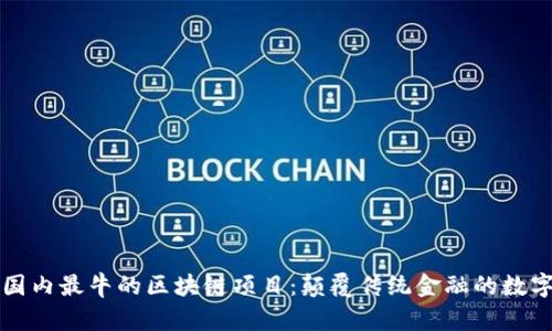 揭秘国内最牛的区块链项目：颠覆传统金融的数字未来