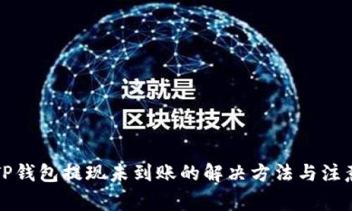 揭秘TP钱包提现未到账的解决方法与注意事项