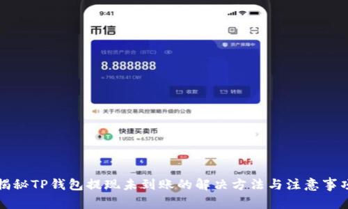 揭秘TP钱包提现未到账的解决方法与注意事项