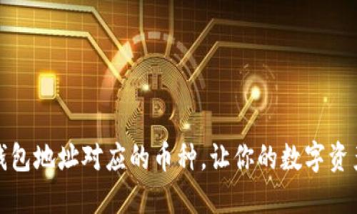 如何设置虚拟钱包地址对应的币种，让你的数字资产管理更加轻松
