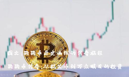 图文：狗狗币历史曲线的传奇旅程

狗狗币传奇：从搞笑币到万众瞩目的投资