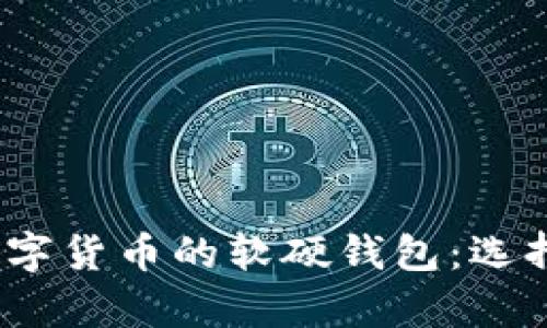标签一：全面解析数字货币的软硬钱包：选择与安全的最佳指南