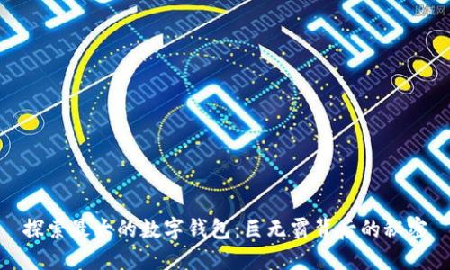 探索最大的数字钱包：巨无霸背后的秘密