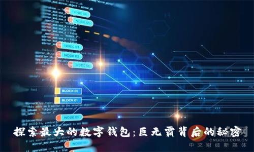 探索最大的数字钱包：巨无霸背后的秘密