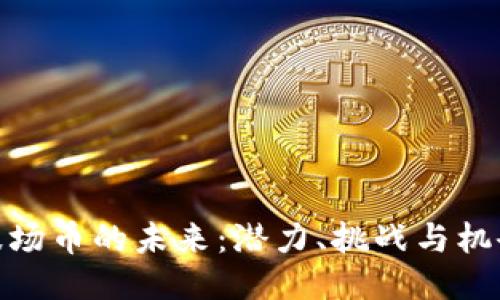波场币的未来：潜力、挑战与机会
